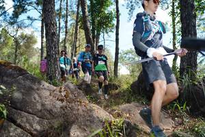 BIB: 
                            <button type="button" onclick="openModal(18962359)" class="btn btn-primary btn-sm float-right btn-popup" data-toggle="modal" data-target=".modal-high-quality">
                        <i class="fas fa-shopping-cart"></i> Add to Cart
                    </button>
                                            <button type="button" onclick="isThisMe(18962359, true)" class="btn btn-success btn-sm float-right btn-popup btn-isme hidden" data-toggle="tooltip" data-placement="bottom" title="นี่คือรูปของคุณใช่ไหม คลิกที่นี่เพื่อเอาเข้าอัลบั้ม">
                        <i class="fas fa-plus"></i> Add to album
                    </button>
                    <button type="button" onclick="isThisMe(18962359, false)" class="btn btn-warning btn-sm float-right btn-popup btn-isnotme hidden">
                        <i class="fas fa-ban"></i> Remove from album
                    </button>